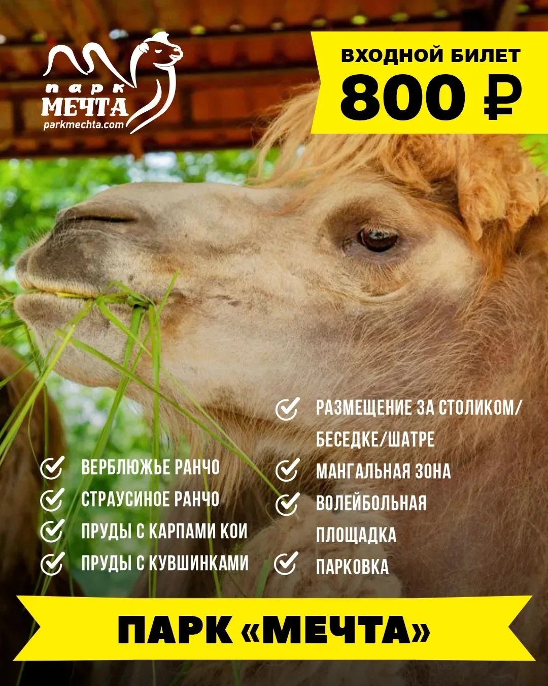 Верблюжье и страусиное ранчо